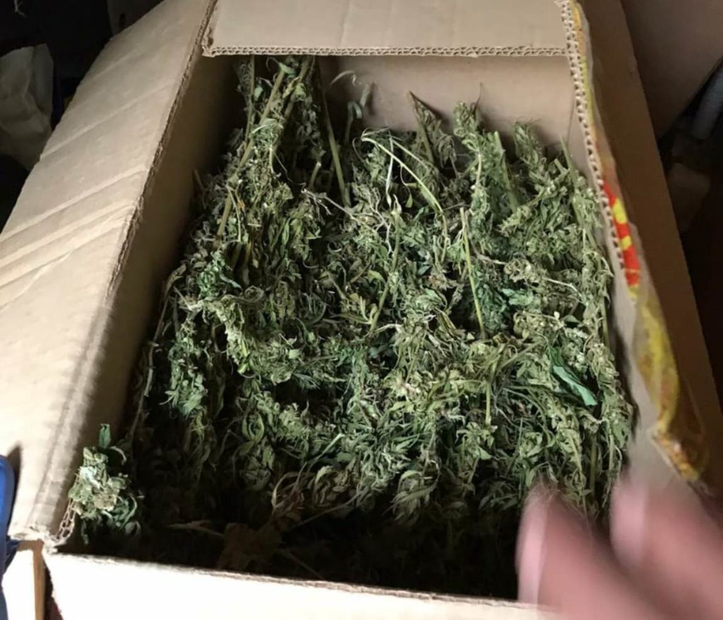 марихуана цена за коробок