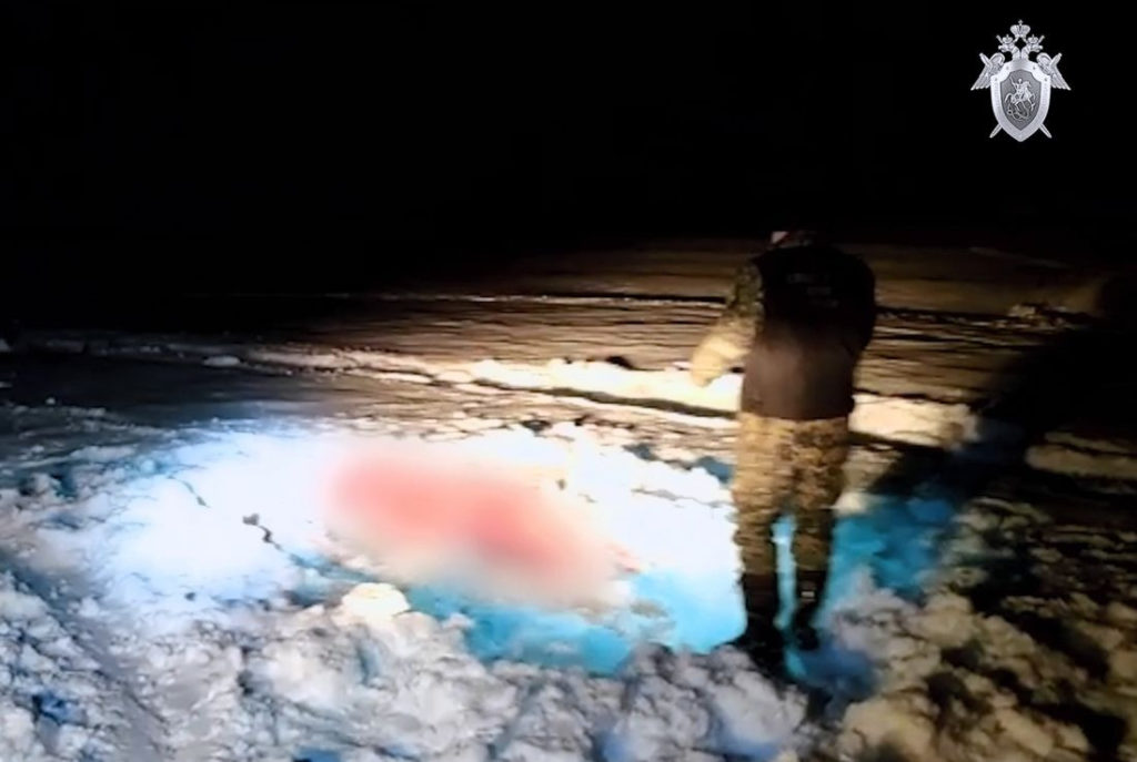 В Тверской области браконьерам, задушившим лосиху, предъявлено обвинение