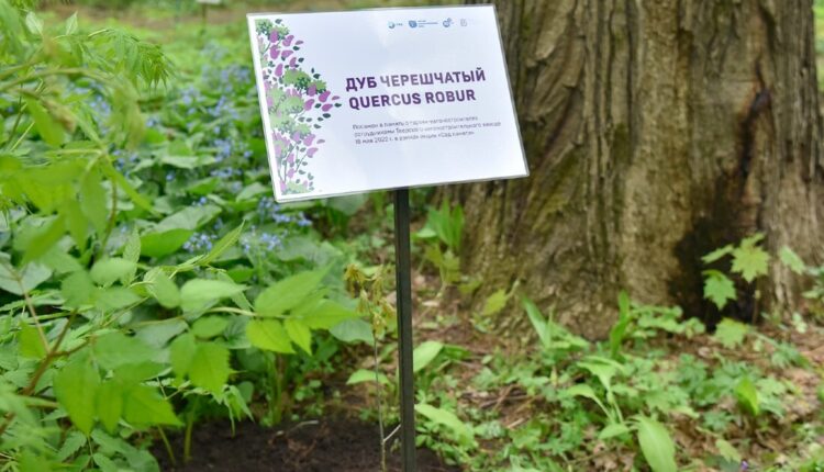В Ботаническом саду Твери появилось дерево в честь героев-вагоностроителей