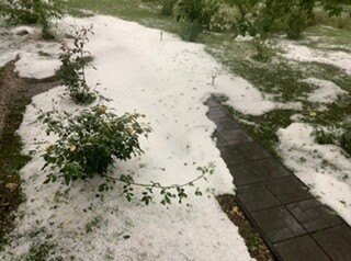 В Тверской области выпал снег