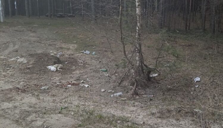 Константиновский карьер в Твери: мусор побеждает?