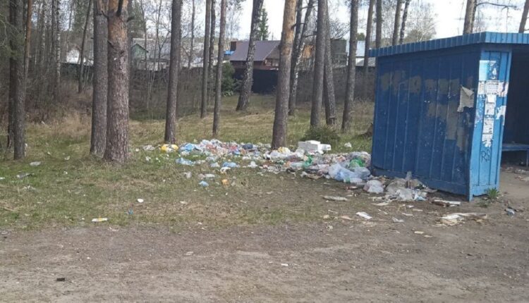 Константиновский карьер в Твери: мусор побеждает?