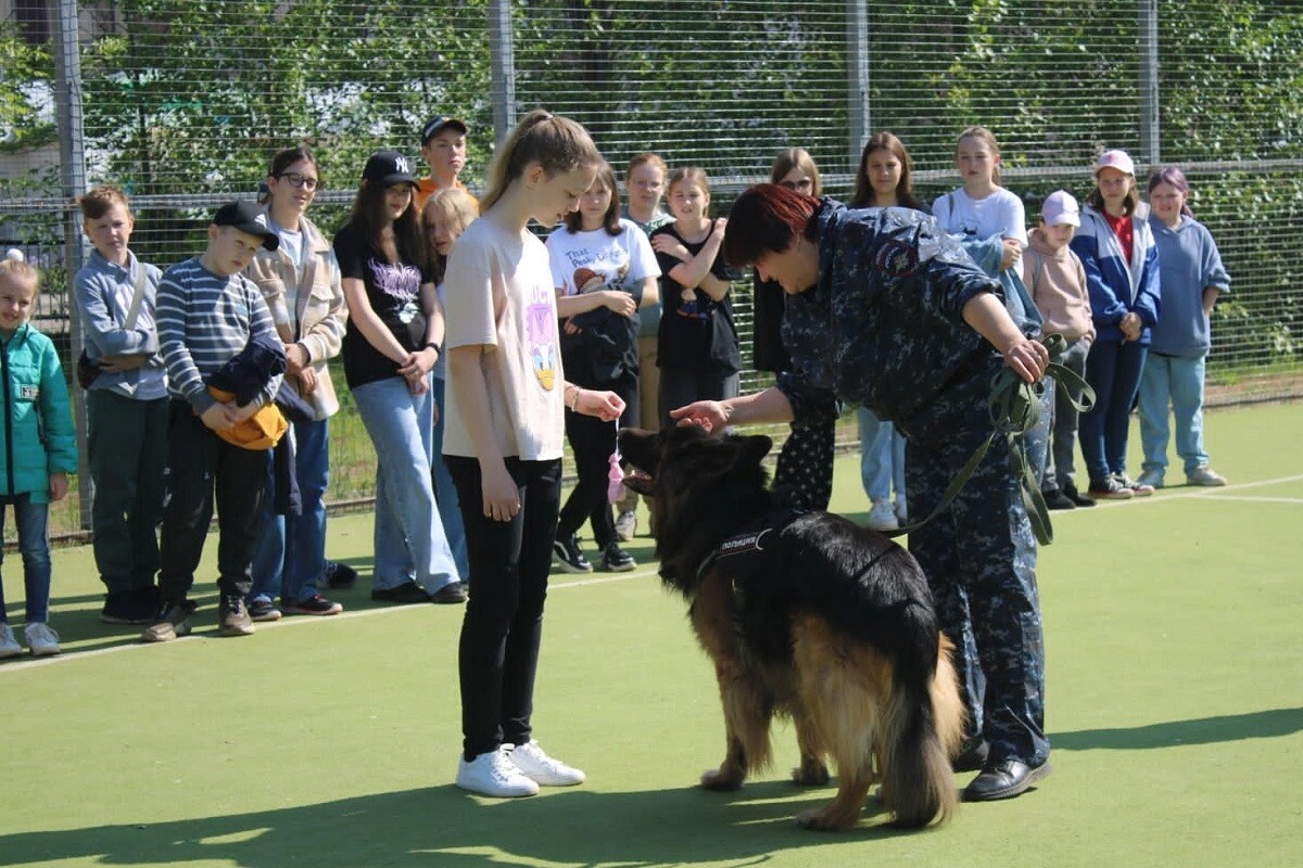 работа кинологом отзывы. полицейский кинолог. работа кинологом отзывы. кинолог эстетика профессии. центральный кинологический центр.
