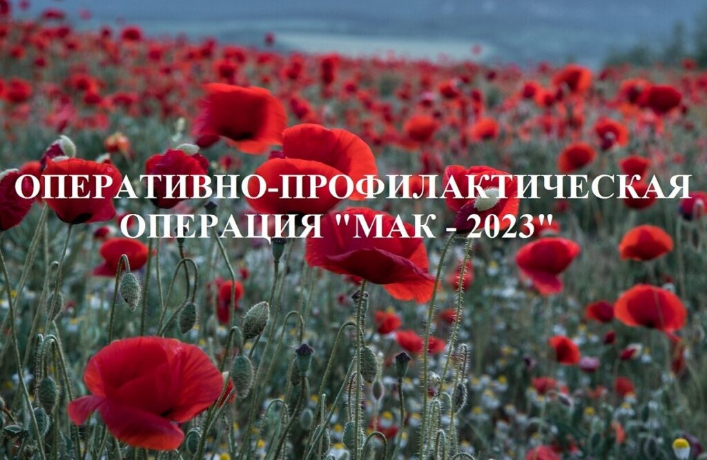 Операция «Мак» проходит в Тверской области